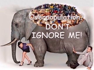 Overpopulation: don't ignore me!